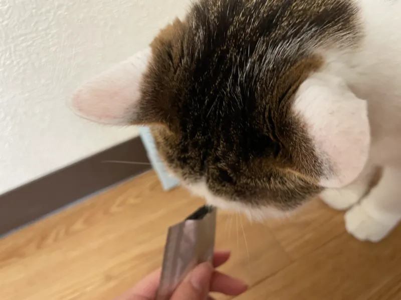 ねこり